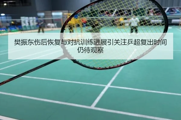 樊振东伤后恢复与对抗训练进展引关注乒超复出时间仍待观察